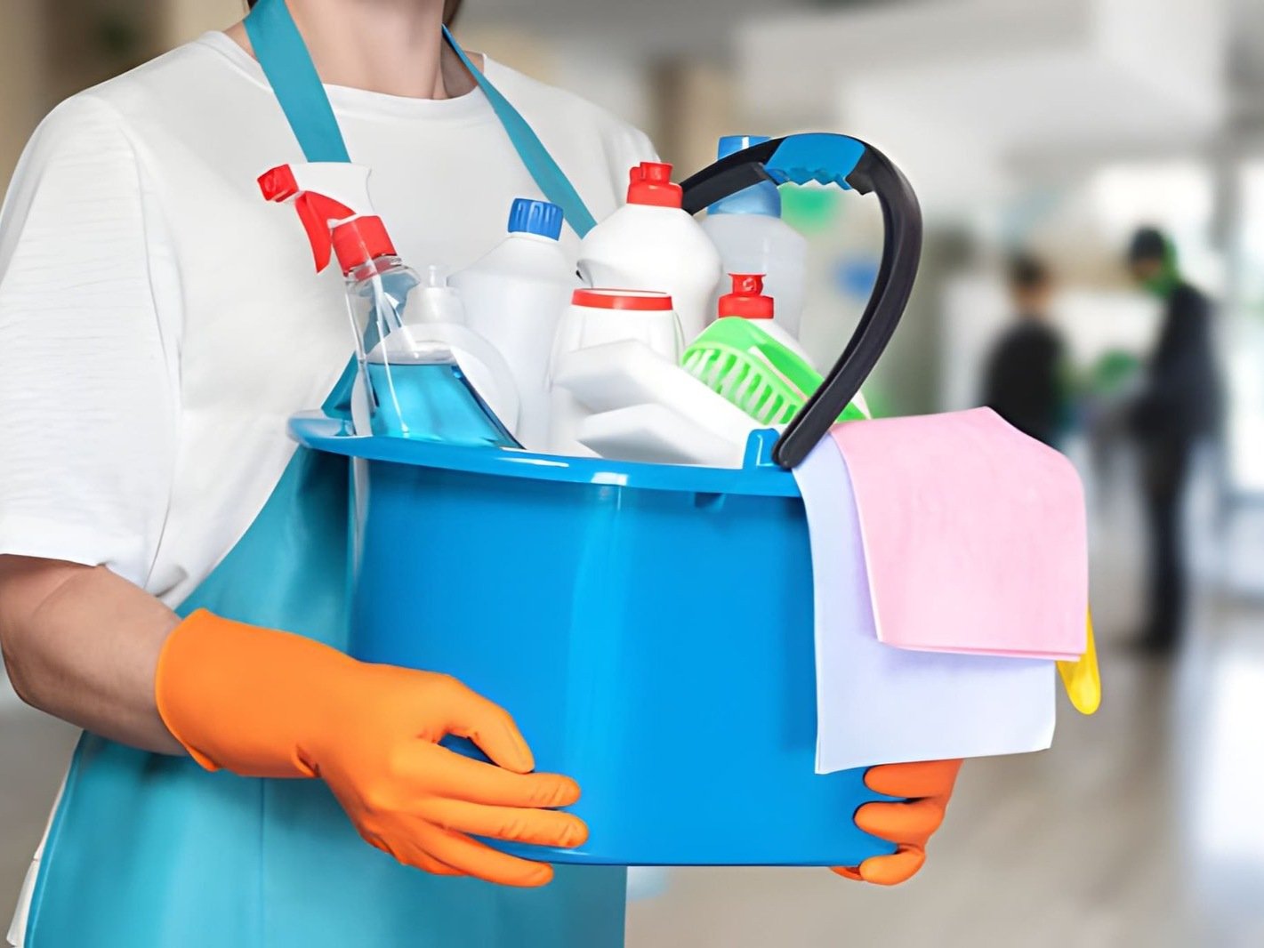 Cleanout services in Lexington