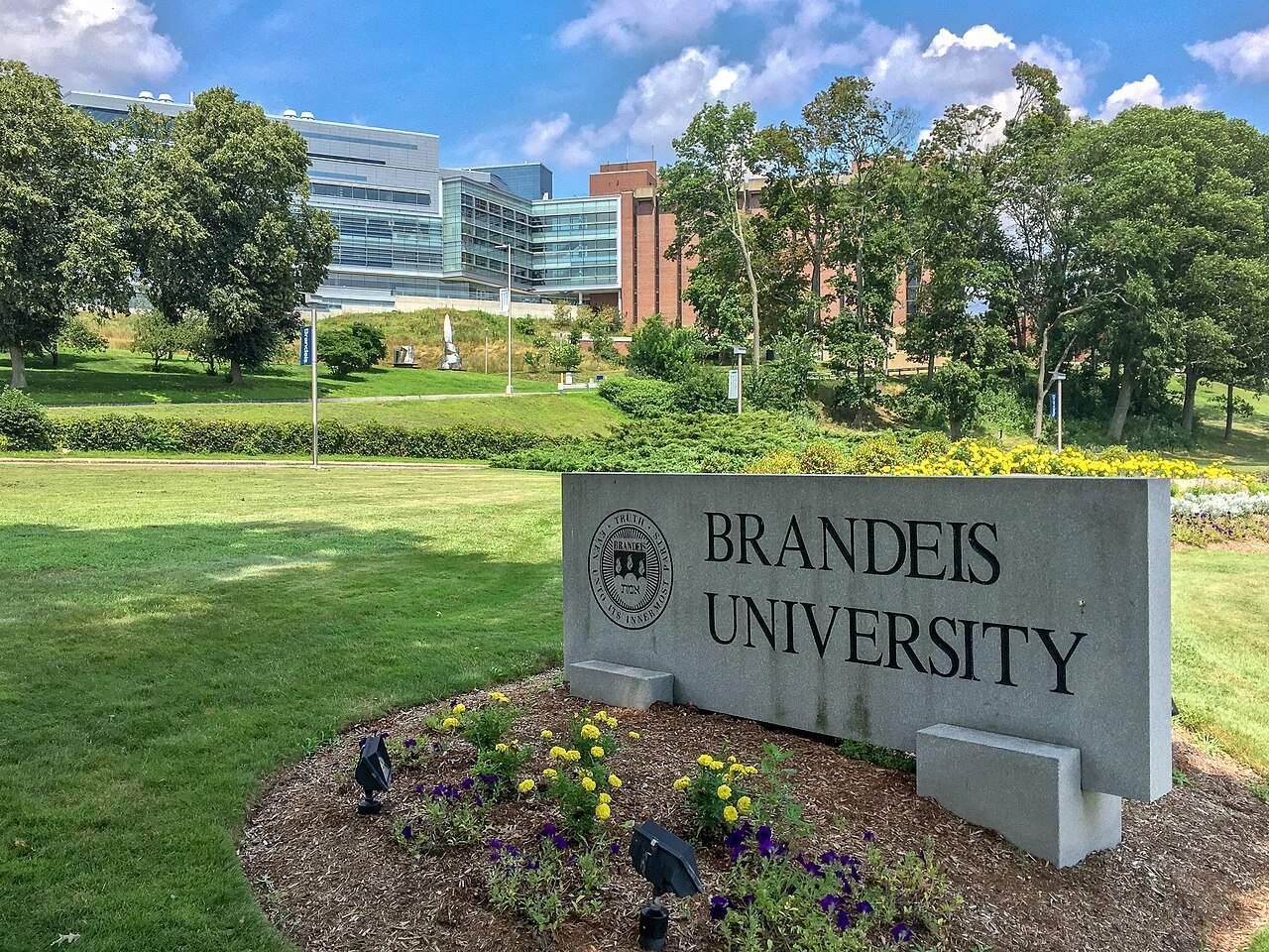 Brandeis University Area
