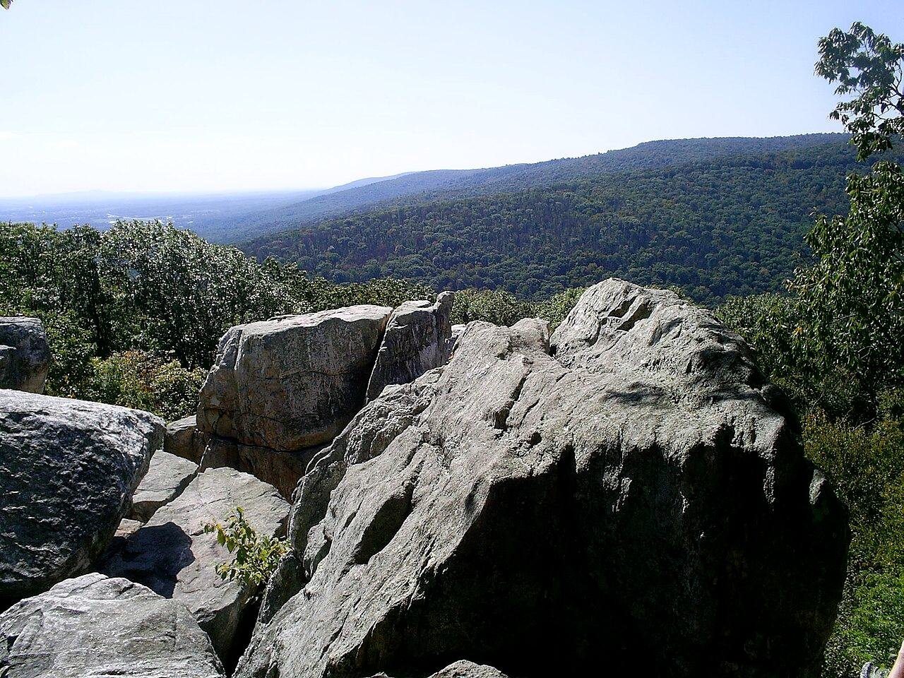 Cat Rock Park Area