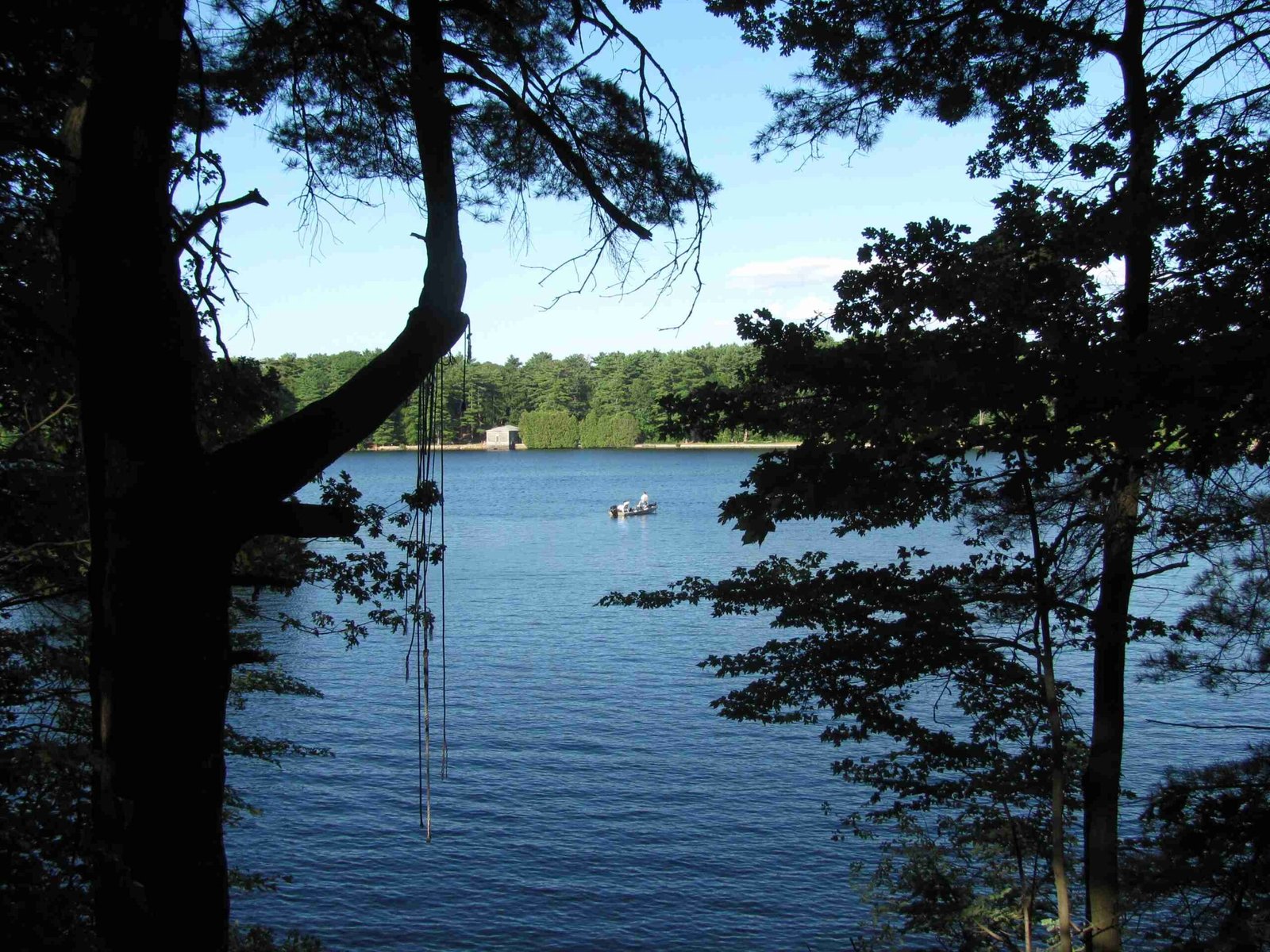 Lake Cochituate Area