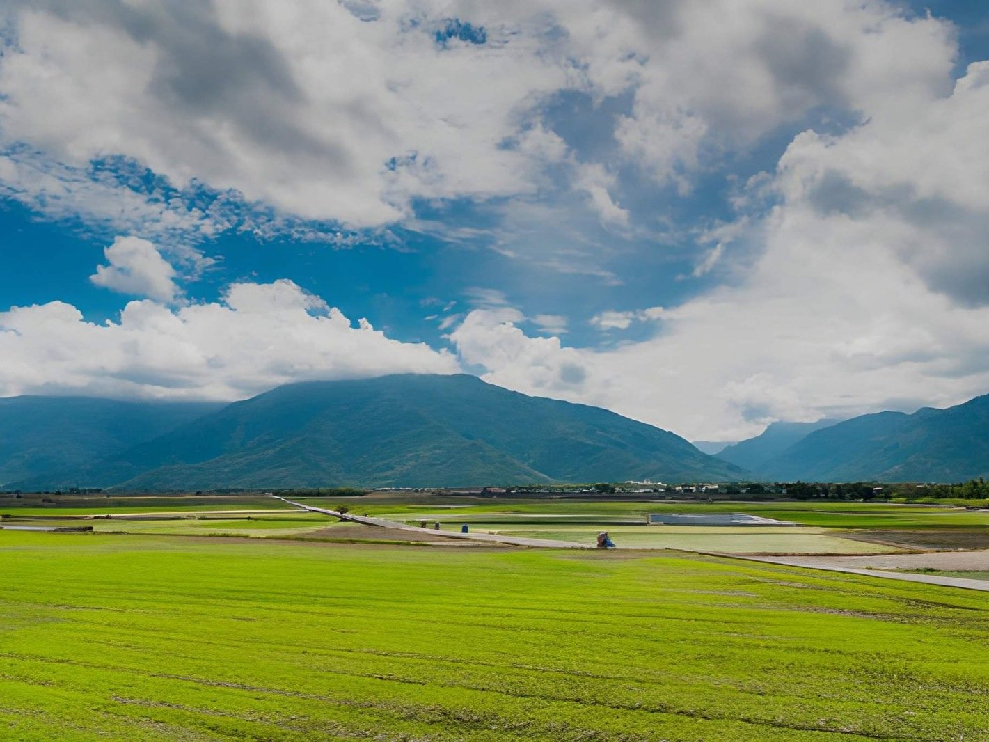 Land's Sake Farm Area